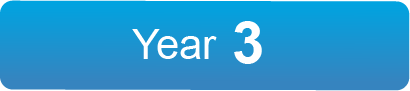 Year 3